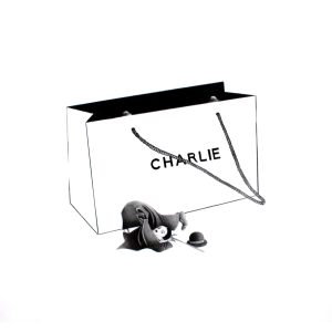 Day-Z - Charlie Bag White