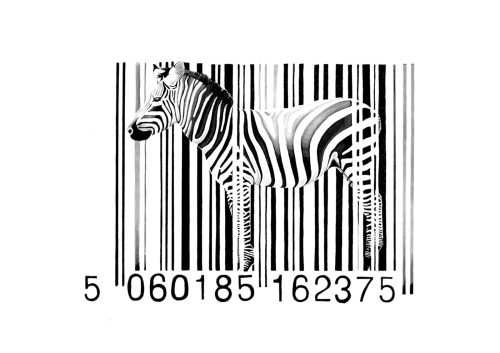 Day-Z - Zebra Barcode